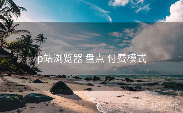 p站浏览器 盘点 付费模式