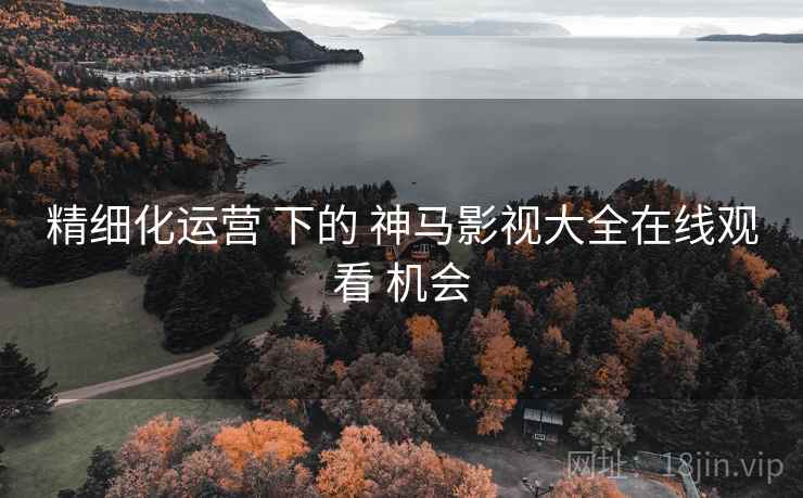 精细化运营 下的 神马影视大全在线观看 机会