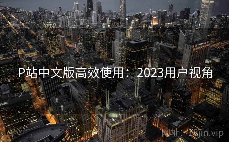 P站中文版高效使用：2023用户视角