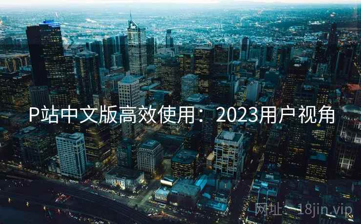 P站中文版高效使用：2023用户视角