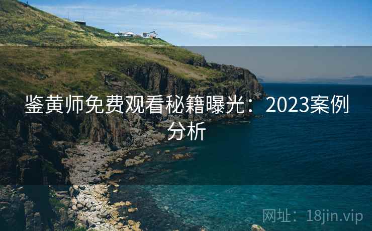 鉴黄师免费观看秘籍曝光：2023案例分析