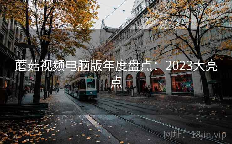 蘑菇视频电脑版年度盘点：2023大亮点