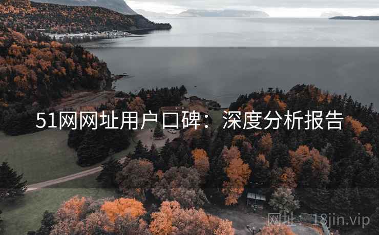 51网网址用户口碑：深度分析报告
