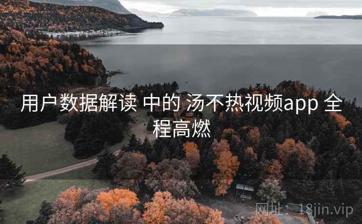 用户数据解读 中的 汤不热视频app 全程高燃