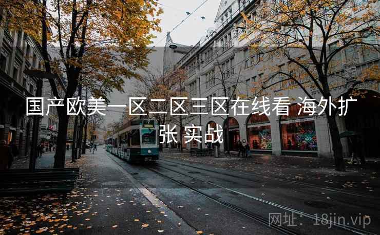 国产欧美一区二区三区在线看 海外扩张 实战