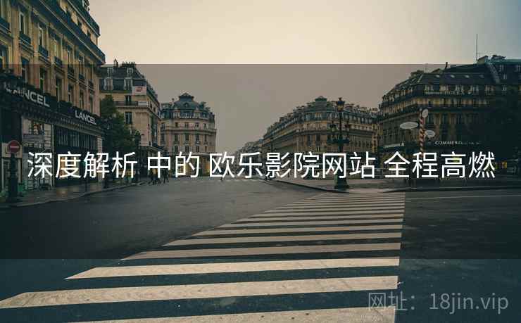 深度解析 中的 欧乐影院网站 全程高燃