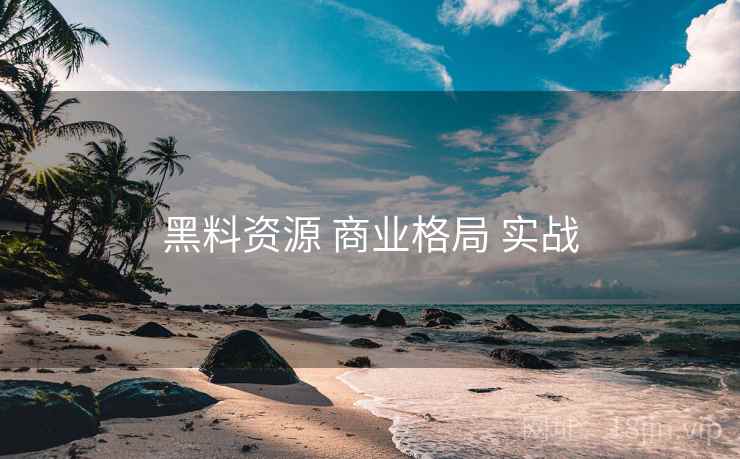 黑料资源 商业格局 实战