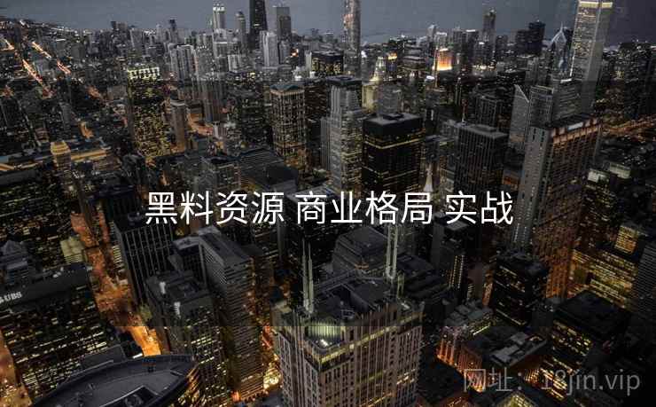 黑料资源 商业格局 实战