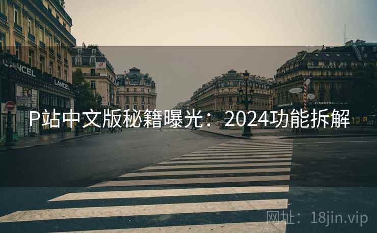 P站中文版秘籍曝光：2024功能拆解
