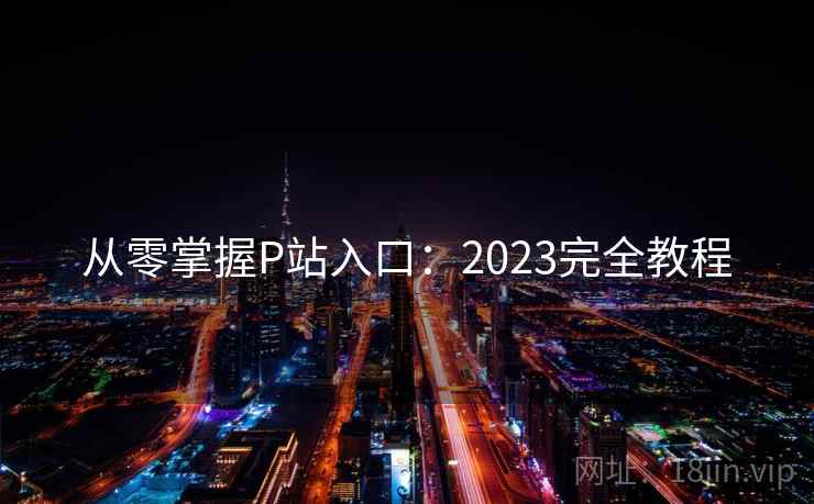 从零掌握P站入口：2023完全教程