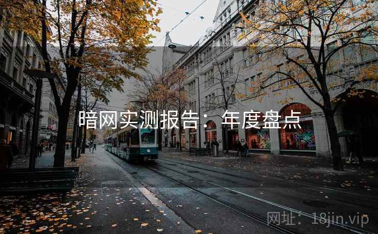 暗网实测报告:年度盘点 暗网实测报告:年度盘点