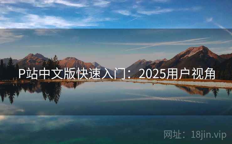 P站中文版快速入门：2025用户视角