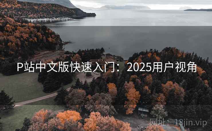 P站中文版快速入门:2025用户视角 P站中文版快速入门:2025用户视角
